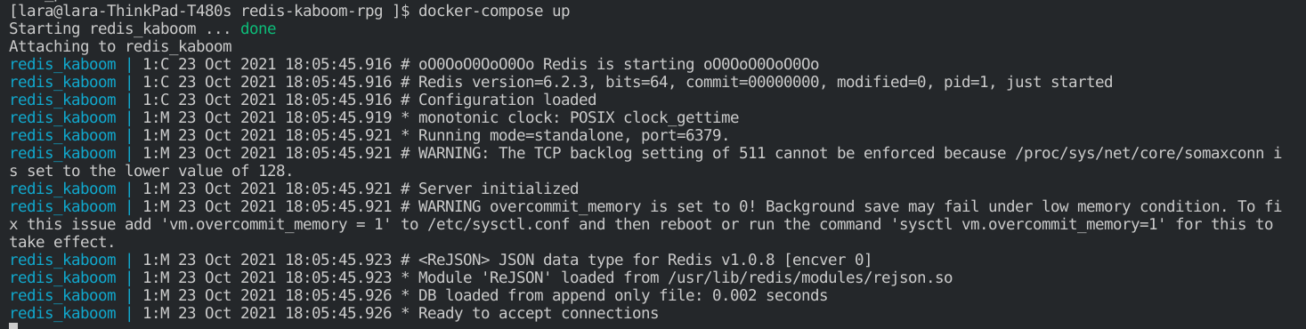 Screenshot of terminal running npm run dev