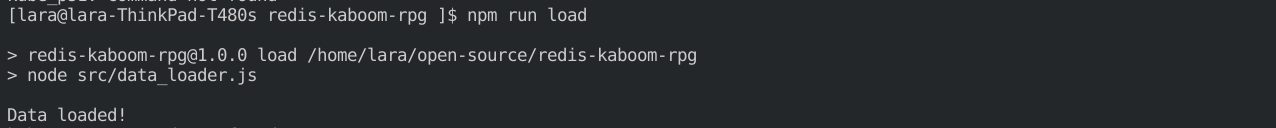 Screenshot of terminal running npm run load
